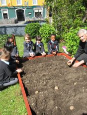 School Garden