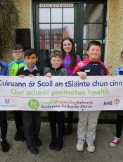 Health Promoting Schools