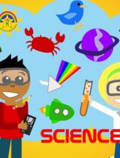 Science Week Fun