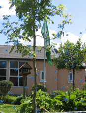 The Week Before Christmas at St. Enda’s