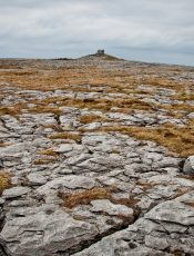 Burren Trip!