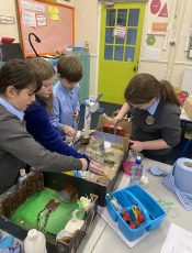 The Greenhouse Farm