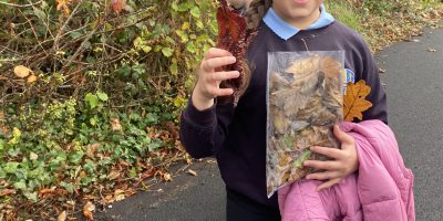 3rd & 4th Class Nature Walk