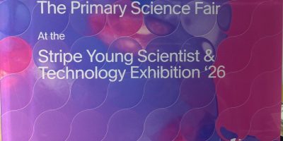 Primary Science Fair