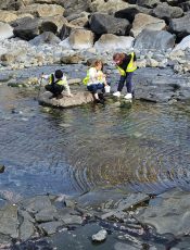 Rock pools in Lahinch