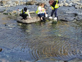 Rock pools in Lahinch